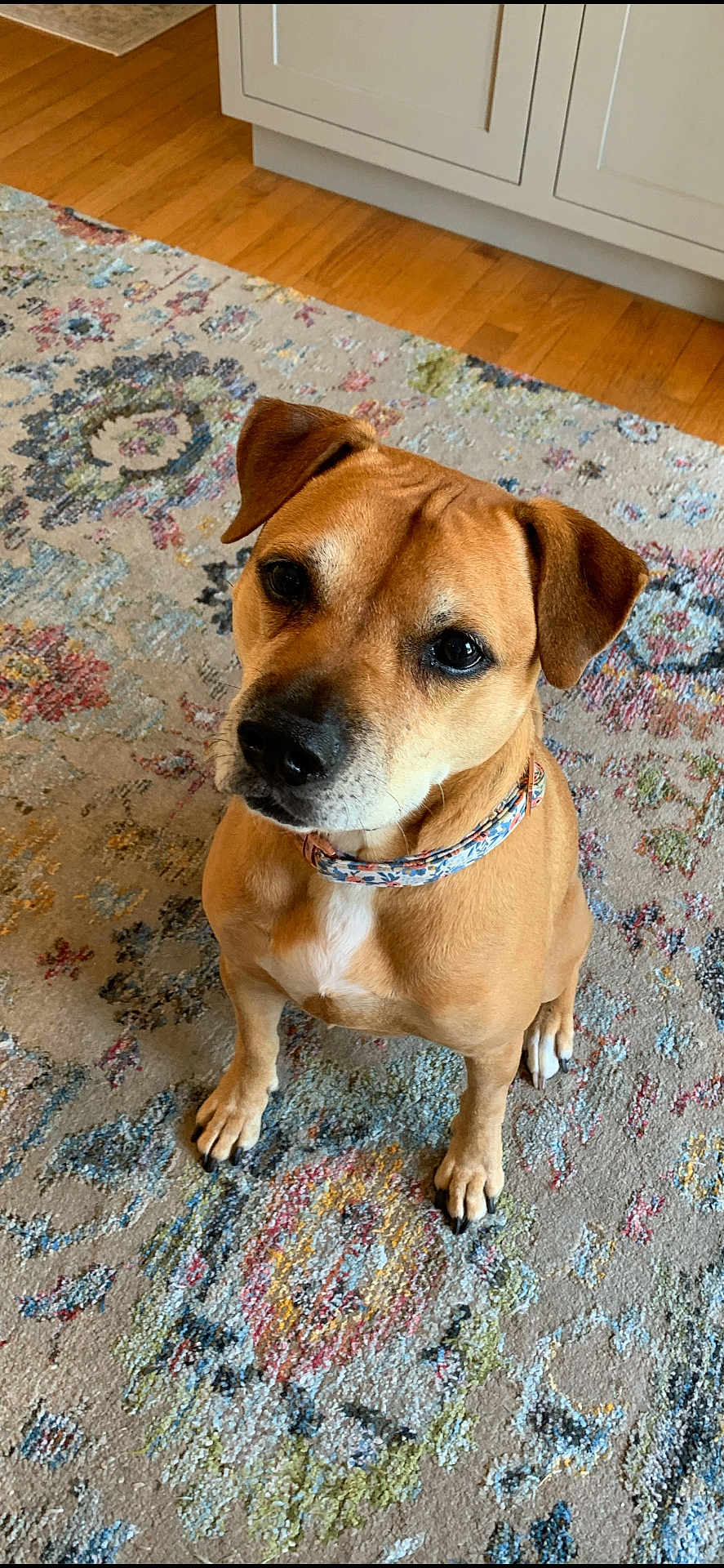Sadie
