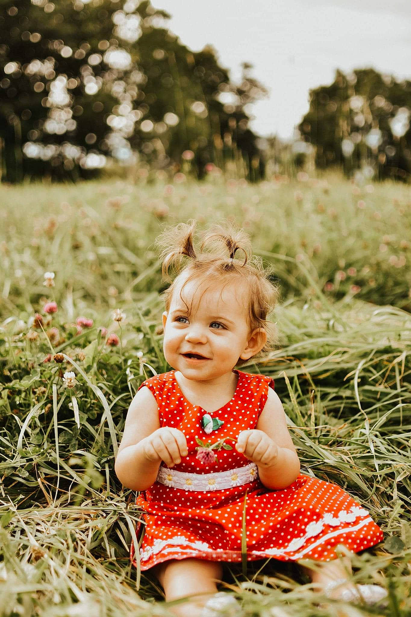 Maeleigh is registered to the contest to win money with this photo: baby, child, grass, grass_family, happy, joy, leaf, meadow, people, people_in_nature, person, photograph, photography, plant, playing_with_kids, portrait_photography, pumpkin, red, sitting, smile