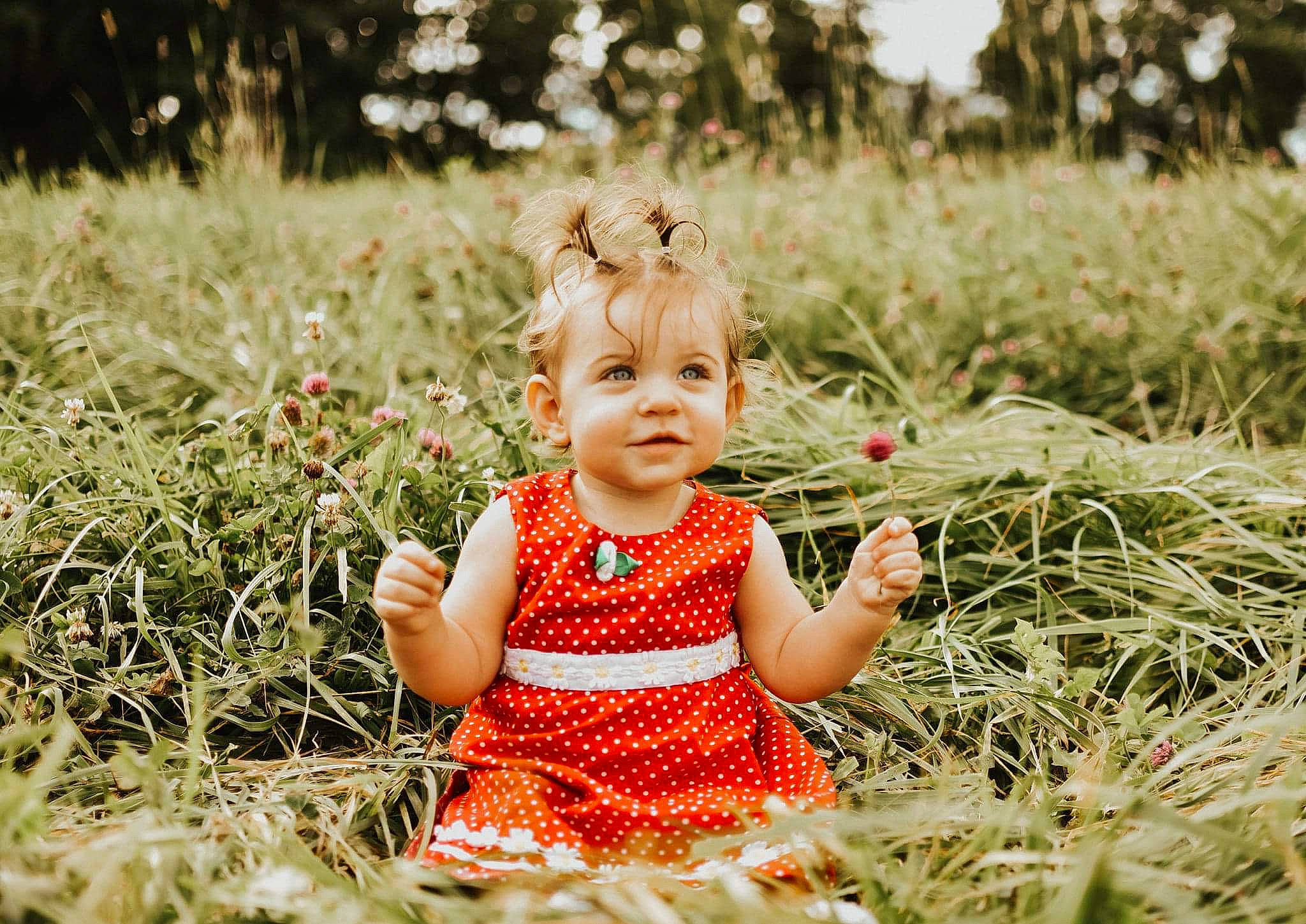 Maeleigh is registered to the contest to win money with this photo: baby, child, dress, facial_expression, fun, grass, grass_family, happy, meadow, people, people_in_nature, person, photograph, photography, plant, playing_with_kids, portrait_photography, red, smile, summer