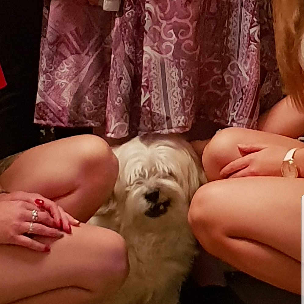 Eros a rejoint le concours — aidez-le/la à gagner de superbes lots ! carnivoran, dog, dog_like_mammal, finger, foot, fun, girl, hand, human_hair_color, human_leg, joint, leg, mammal, pink, sitting, skin, thigh, trunk, vertebrate