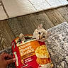 Donut joined the competition — help win amazing prizes! animal, biscuit, carpet, cat, chicken, cream_colored, fluffy, food_packaging, honey, indoor, inside_box, kitten, living_room, paw, pet, sitting, snack, whiskers, wide_eyed, wood_floor