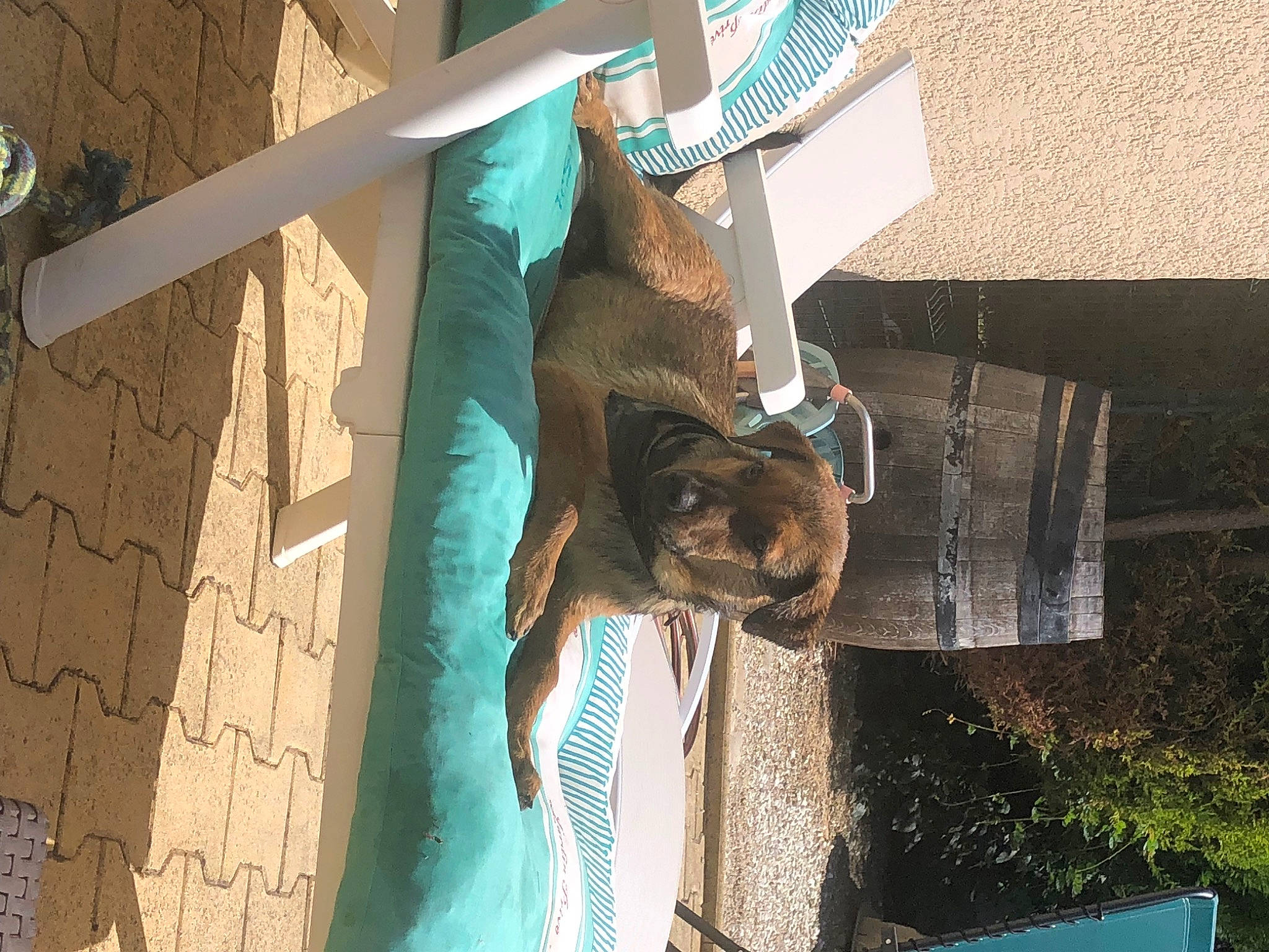 Bruce participe au concours pour gagner de l'argent avec cette photo : blue, fun, leisure, metal, plant, tree, water, wood