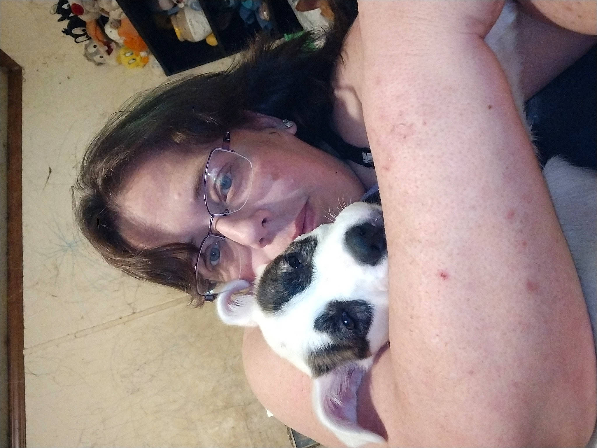 Domino joined the competition — help win amazing prizes! carnivore, comfort, companion_dog, dog, dog_breed, elbow, eyewear, fawn, fun, goggles, happy, human_leg, jaw, mouth, nose, smile, snout, sunglasses, thigh, vision_care