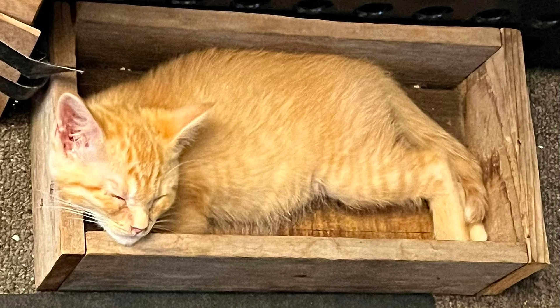 Tig Tig