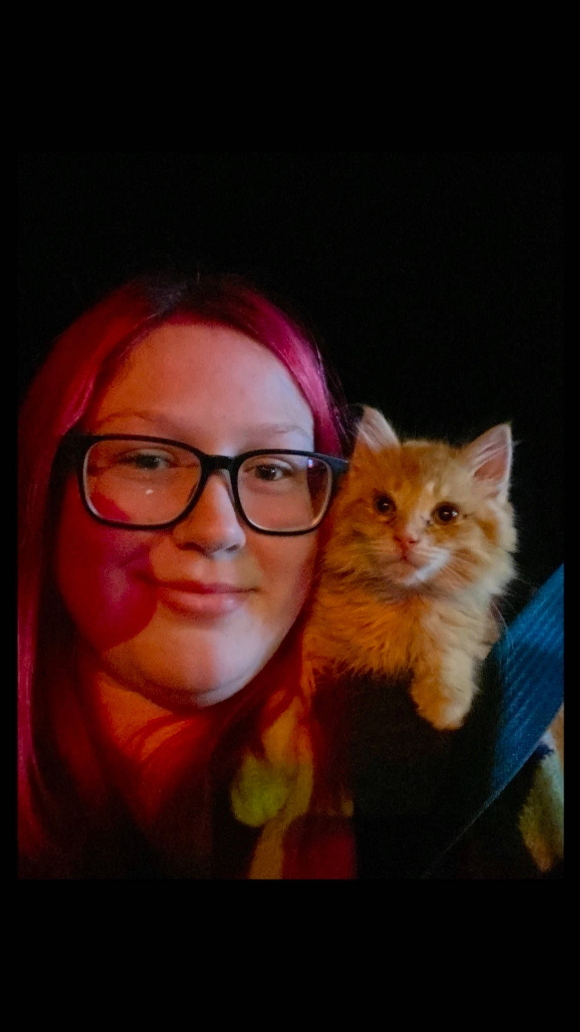 Leo is registered to the contest to win money with this photo: carnivore, cat, cheek, eye, eyebrow, eyelash, eyewear, fawn, felidae, flash_photography, fur, gesture, glasses, iris, jaw, nose, small_to_medium_sized_cats, smile, vision_care, whiskers