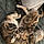 Kitcat