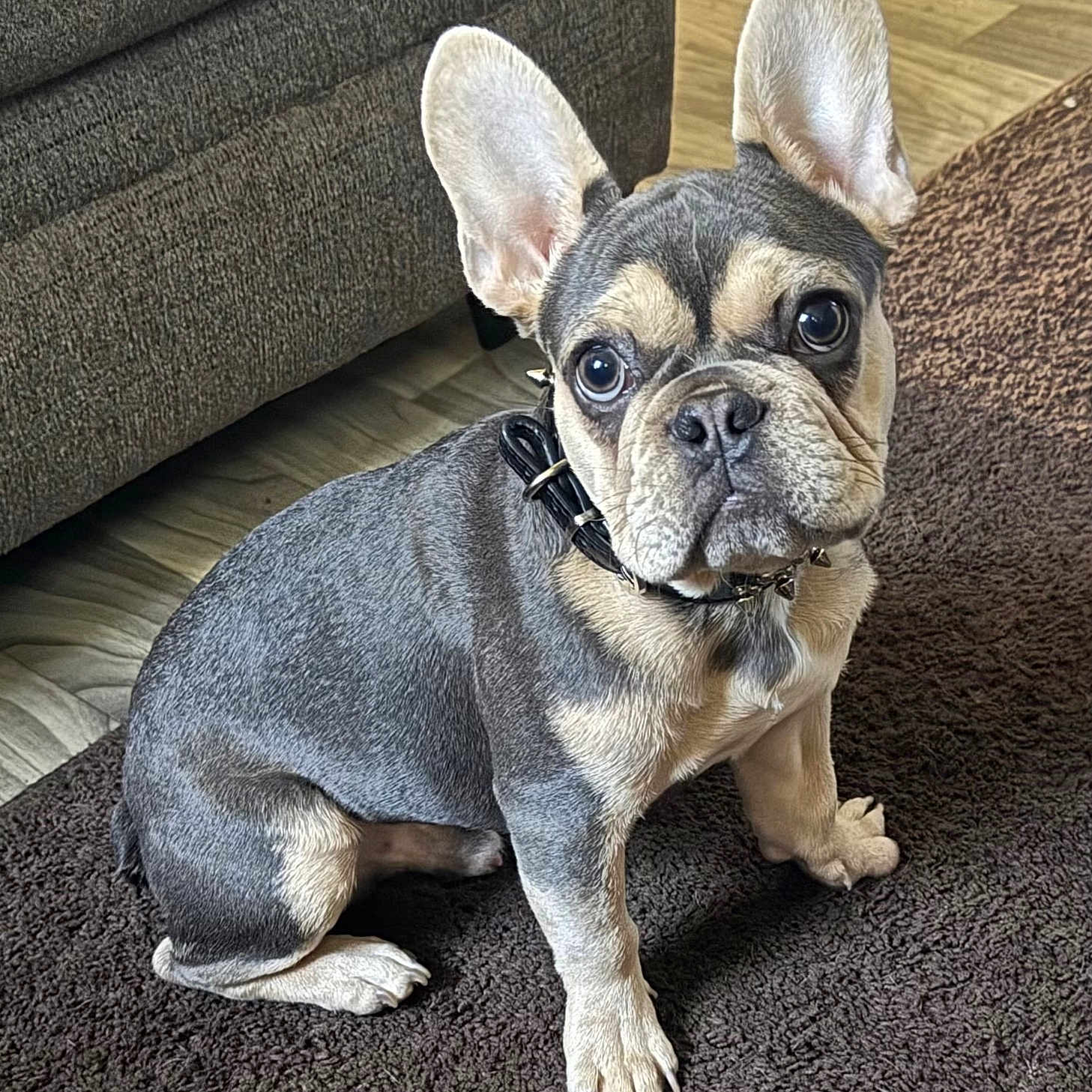 Max