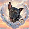 animal, blue, calm, cloud, compass, digital_art, dog, farewell, heart_shape, memorial, nature, ocean, orange, portrait, seashells, serene, sky, sunset, text_overlay, water