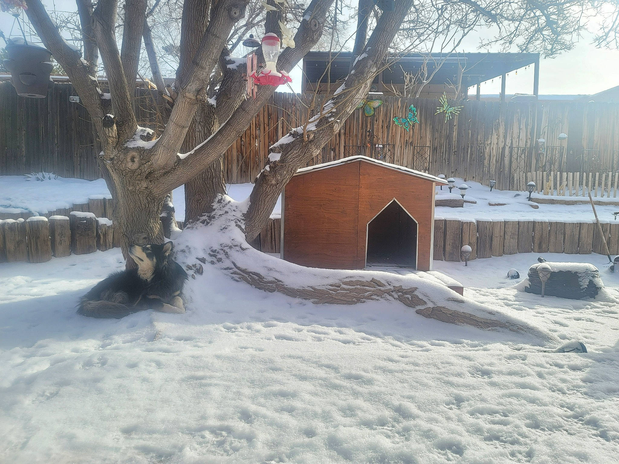 King is registered to the contest to win money with this photo: biome, branch, building, cottage, event, freezing, frost, geological_phenomenon, house, landscape, morning, roof, sky, slope, snow, tree, twig, window, winter, wood