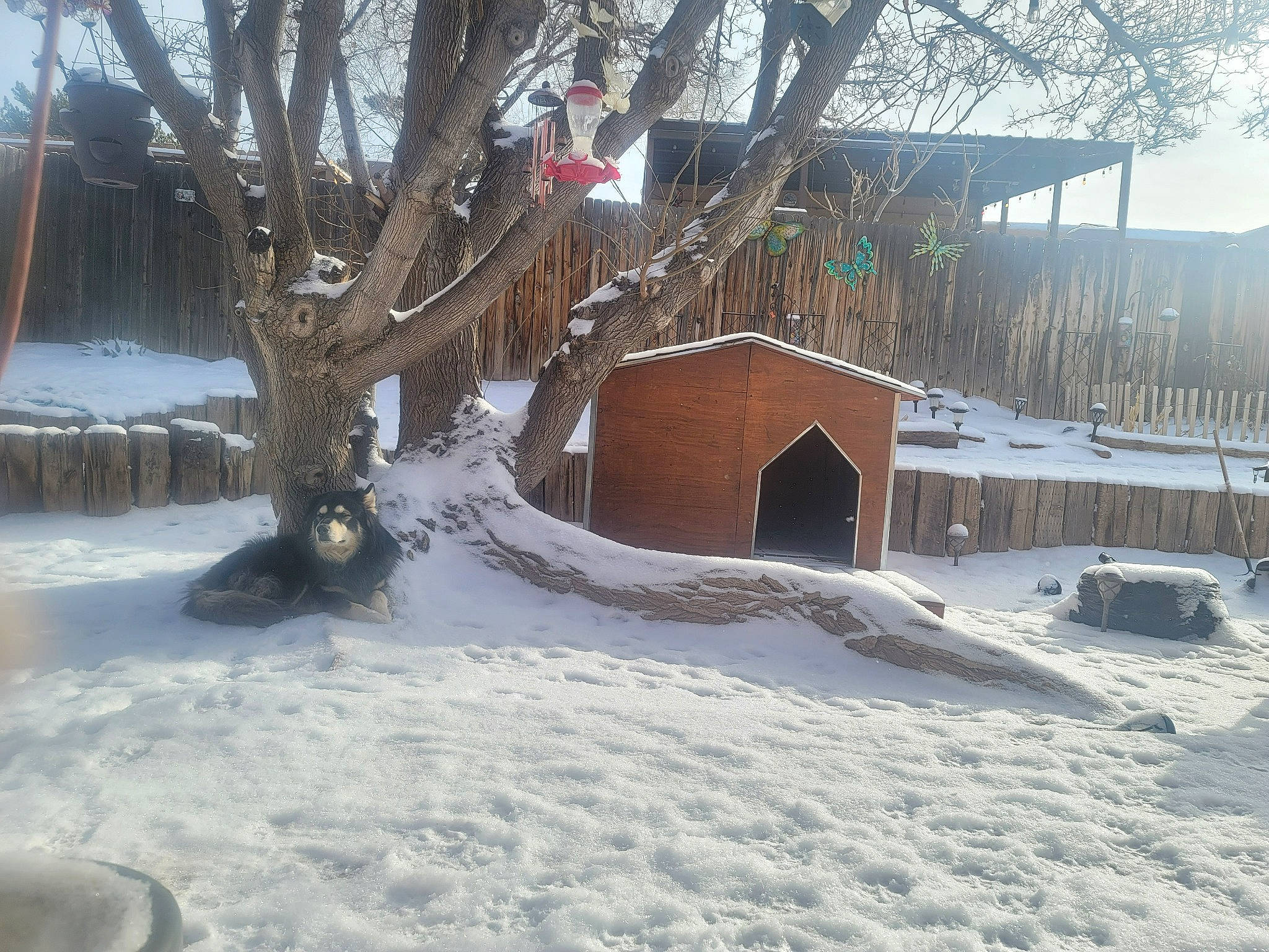 King joined the competition — help win amazing prizes! building, cottage, event, freezing, frost, geological_phenomenon, home, house, hut, landscape, log_cabin, roof, siding, sky, slope, snow, tree, twig, window, winter