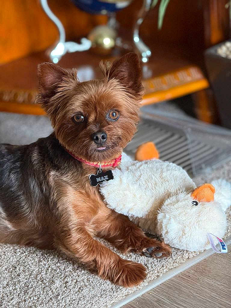 Max
