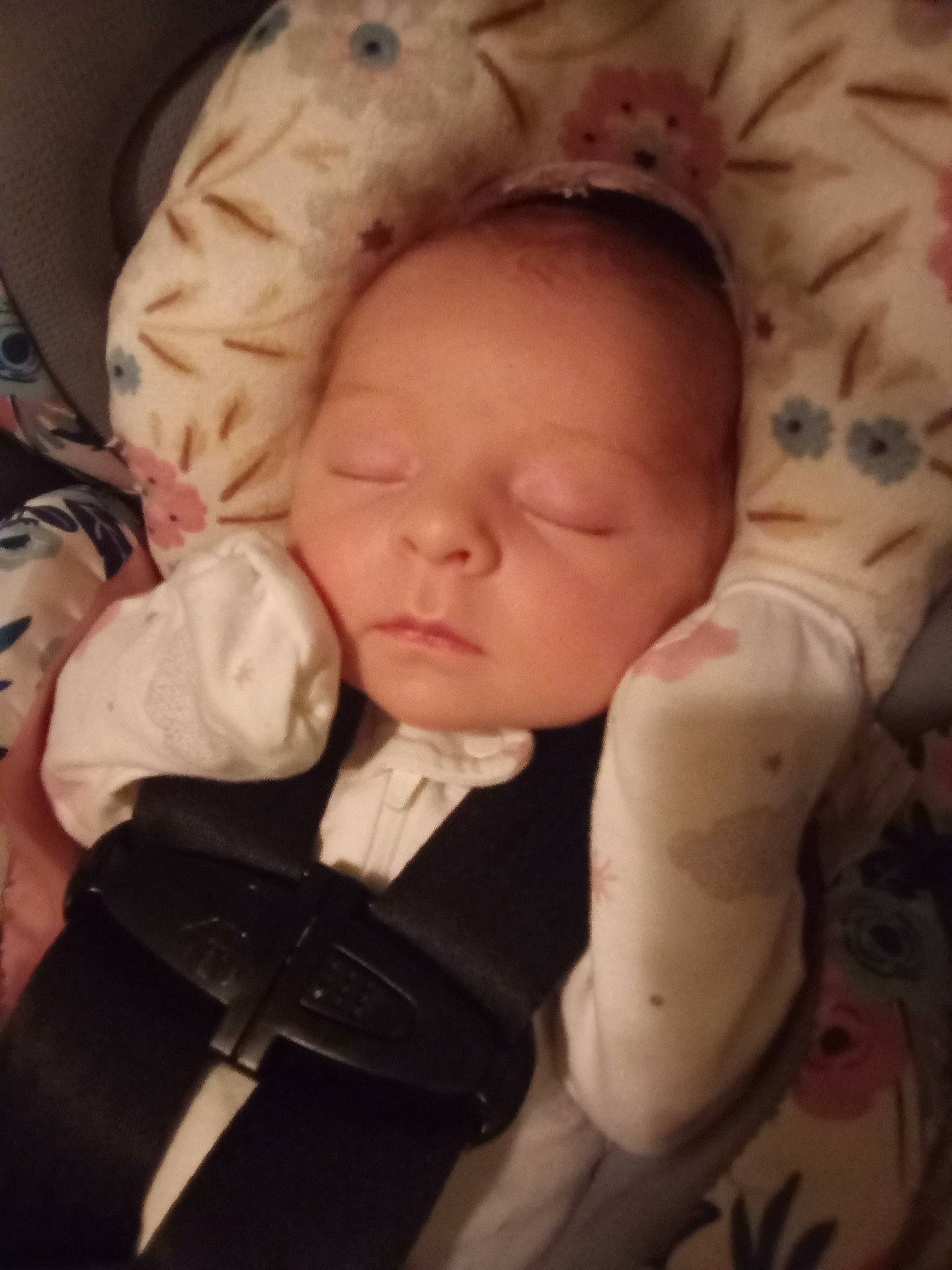 Dahlia is registered to the contest to win money with this photo: baby, baby_sleeping, baby_toddler_clothing, cheek, child, comfort, eye, eyelash, finger, forehead, hand, human, human_body, lip, mouth, nose, person, skin, sleeve, textile