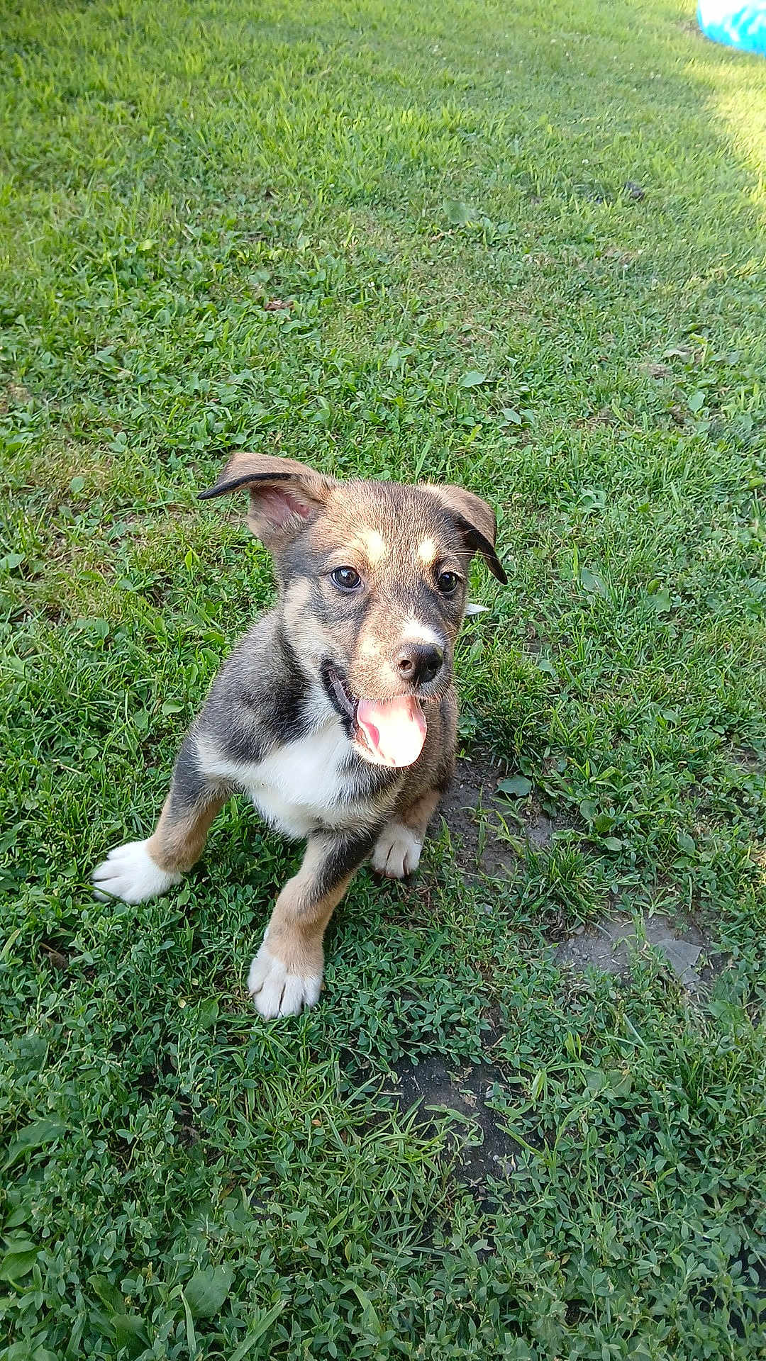 Cooper