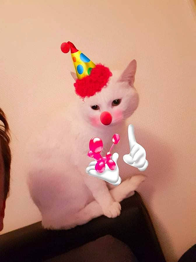 Nala a rejoint le concours — aidez-le/la à gagner de superbes lots ! art, baby_toys, cone, dress, fashion_accessory, fawn, fictional_character, fur, magenta, party_hat, party_supply, pink, plush, small_to_medium_sized_cats, stuffed_toy, tail, textile, toy, whiskers, wool