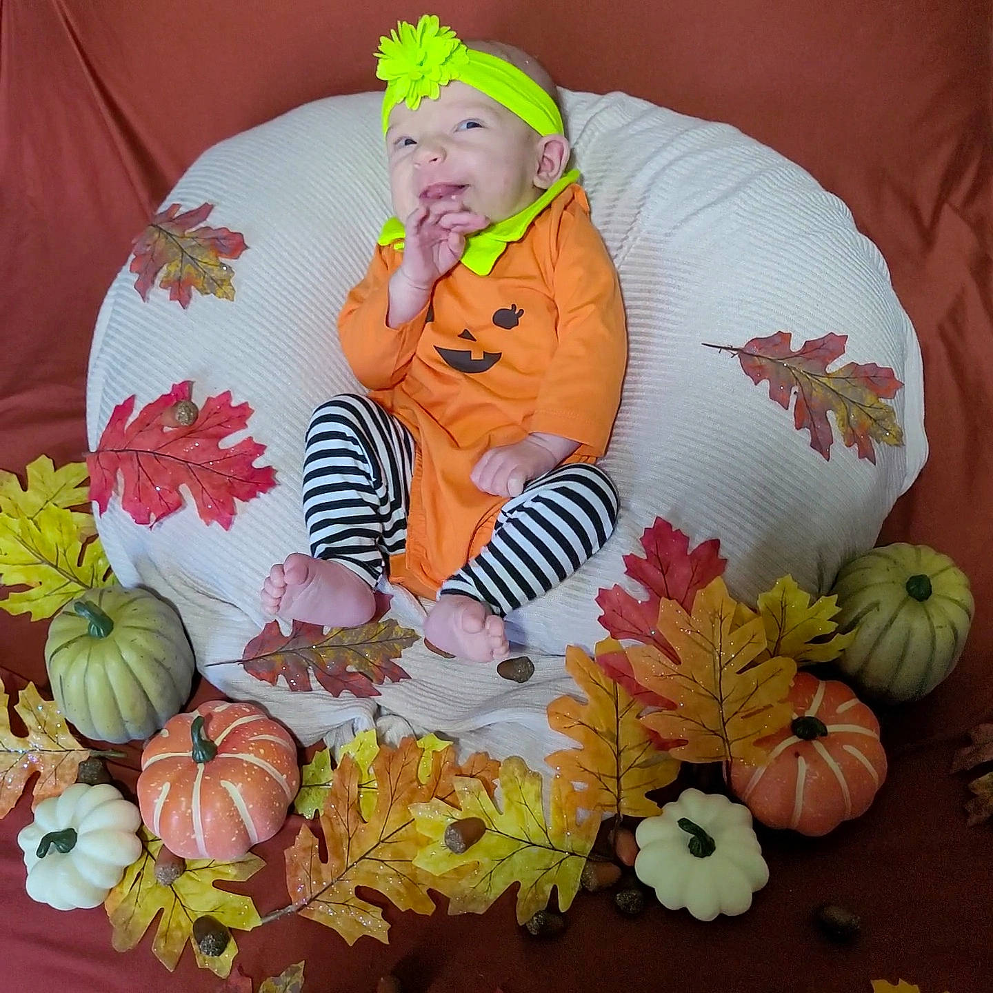 Celine joined the competition — help win amazing prizes! art, bedding, calabaza, comfort, craft, creative_arts, event, floral_design, gourd, headwear, leaf, linens, orange, pattern, person, petal, plant, product, pumpkin, textile