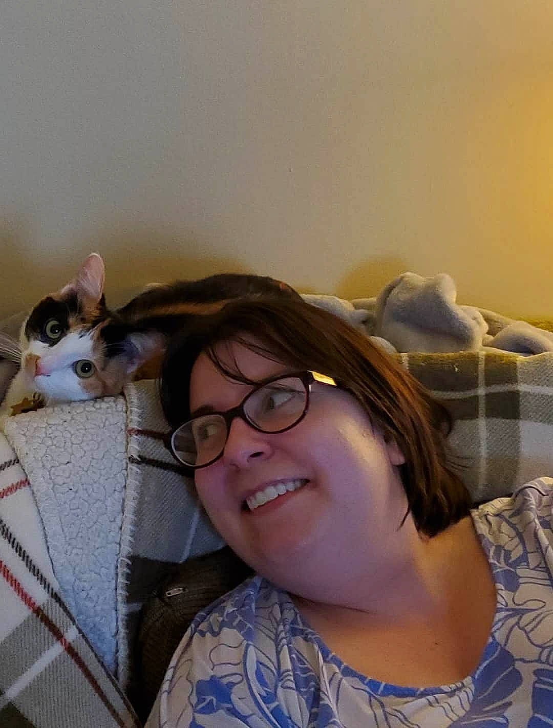 Edith is registered to the contest to win money with this photo: black_hair, cat, ear, eye, eyewear, fawn, felidae, fur, glasses, hair, head, lip, long_hair, mouth, nose, plaid, smile, vision_care, whiskers