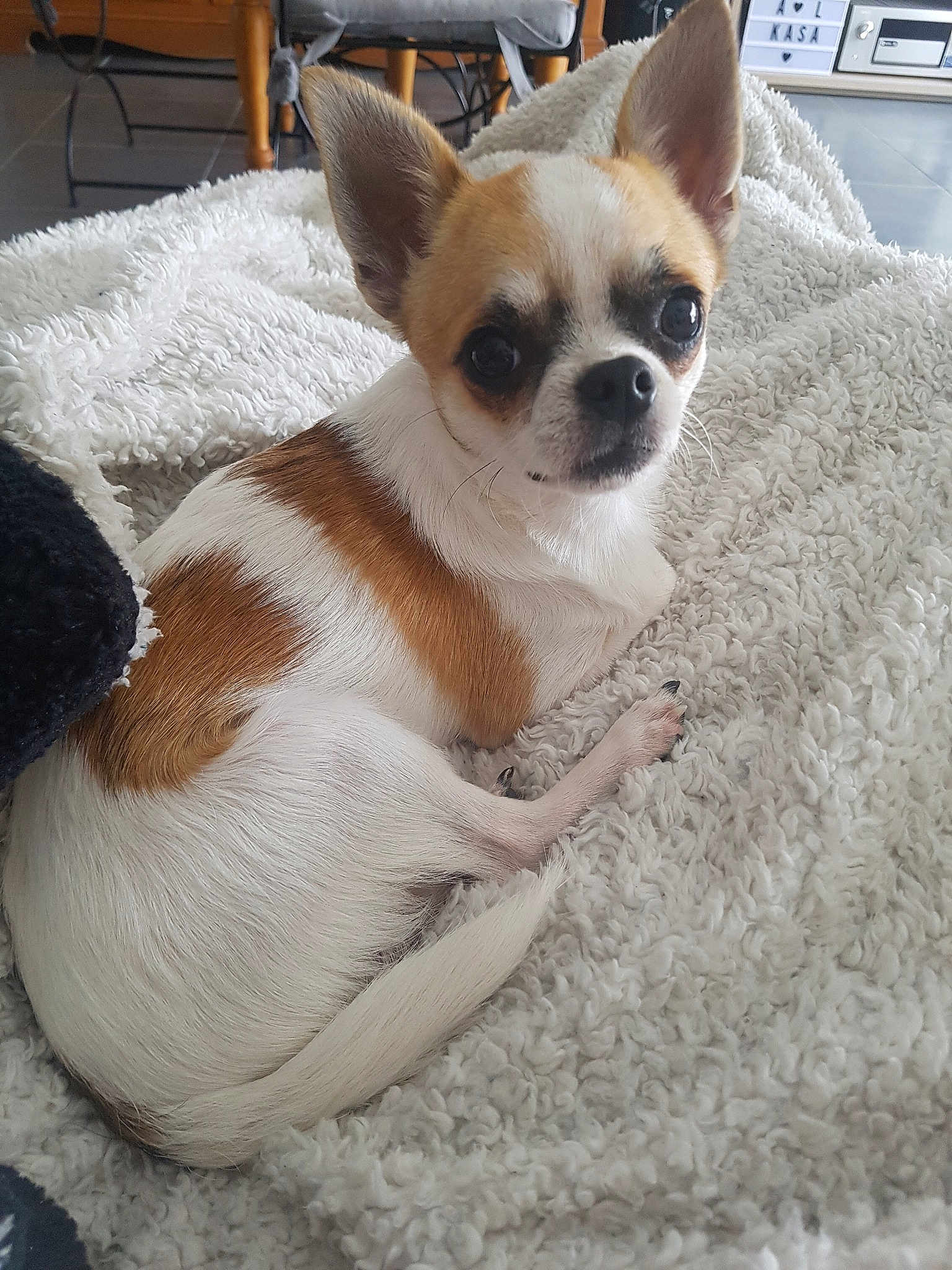 Max