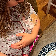 Chipmunk is registered to the contest to win money with this photo: brick_wall, cat, child, cozy, cradling, dessert, family, girl, holding, home, indoors, kitten, long_hair, orange_cat, pet, plate, portrait, table, white_cat, wooden_floor