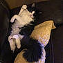 Moto joined the competition — help win amazing prizes! cat, black_and_white, fluffy, lying_down, relaxed, couch, leather, pillow, yellow, patterned, indoor, pet, sleepy, cozy, fur, tail, whiskers, paw, resting, home