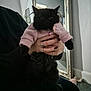 Doris joined the competition — help win amazing prizes! cat, black_cat, pink_sweater, pet, indoor, mirror, hand, rings, nails, person, furniture, carpet, reflection, cozy, adorable, cute, fluffy, domestic_animal, portrait, animal_clothing