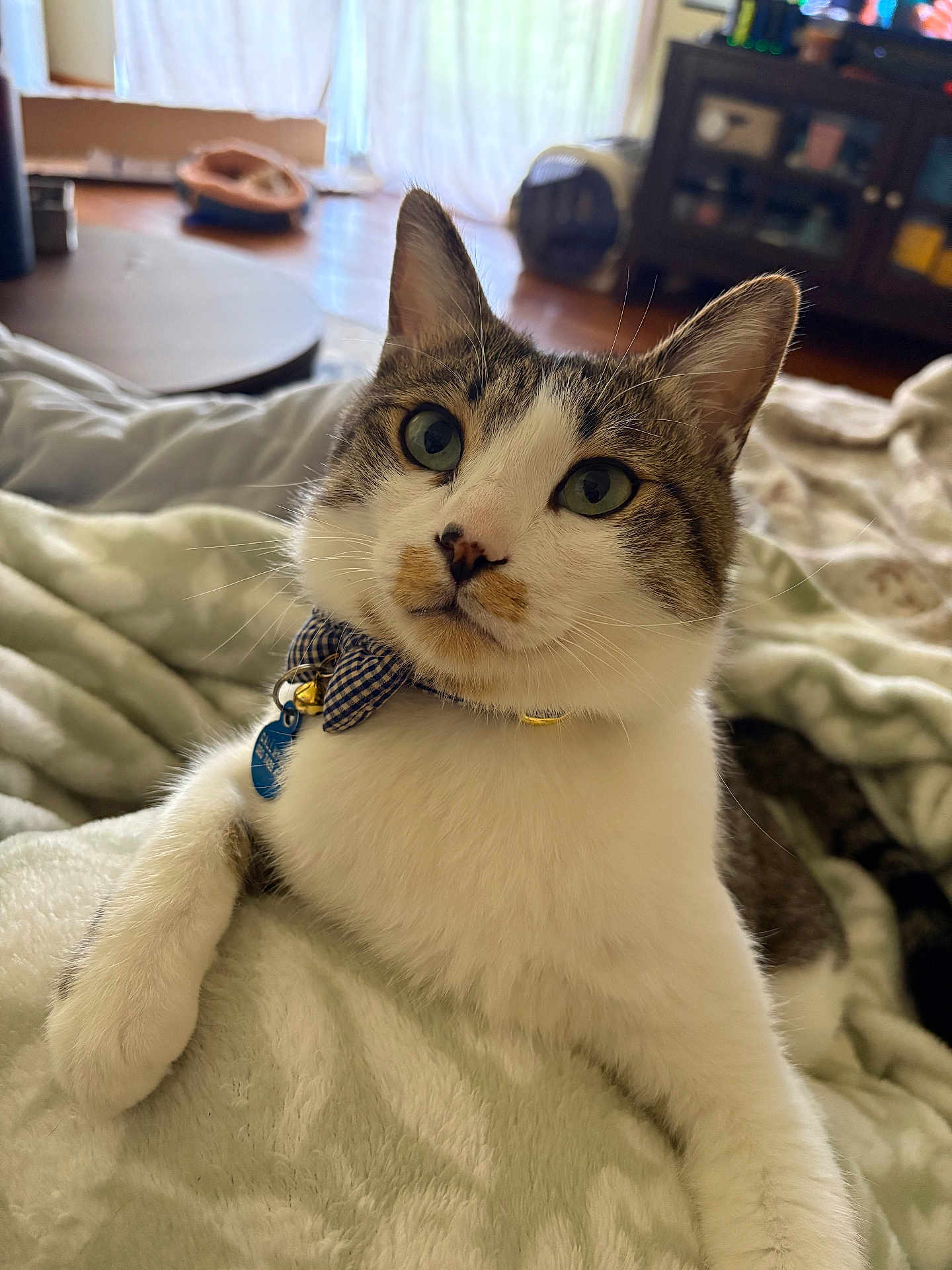 Luka
