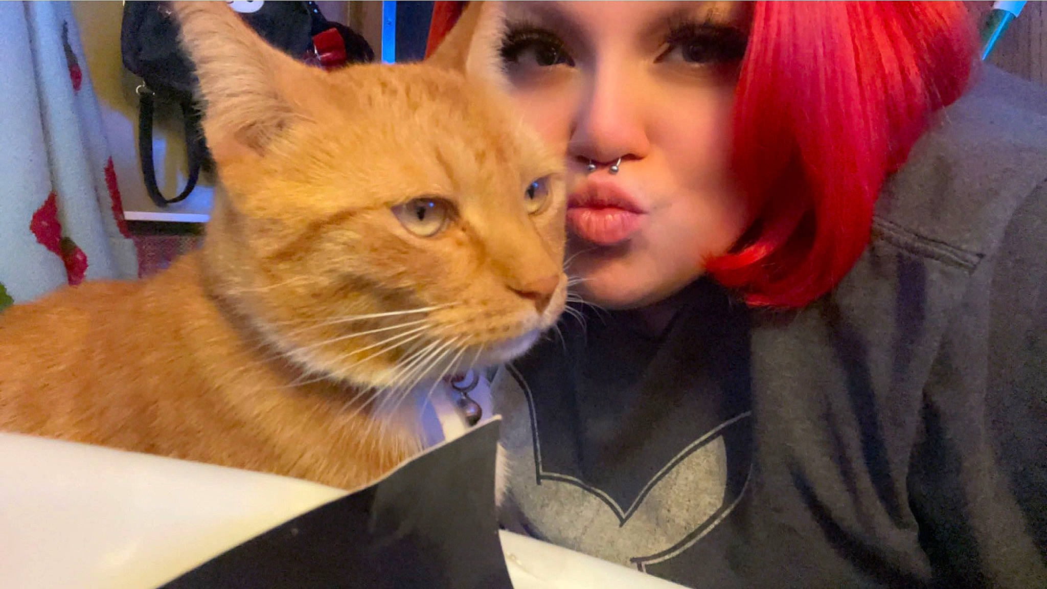 Phoenix is registered to the contest to win money with this photo: bangs, carnivore, cat, domestic_short_haired_cat, ear, eye, eyebrow, eyelash, fawn, felidae, fur, gesture, happy, iris, nose, red_hair, selfie, small_to_medium_sized_cats, snout, whiskers