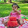 baby, child, girl, watermelon, fruit, cake, pink_dress, blanket, grass, outdoor, park, trees, smile, happy, pigtails, cute, summer, food, celebration, playful