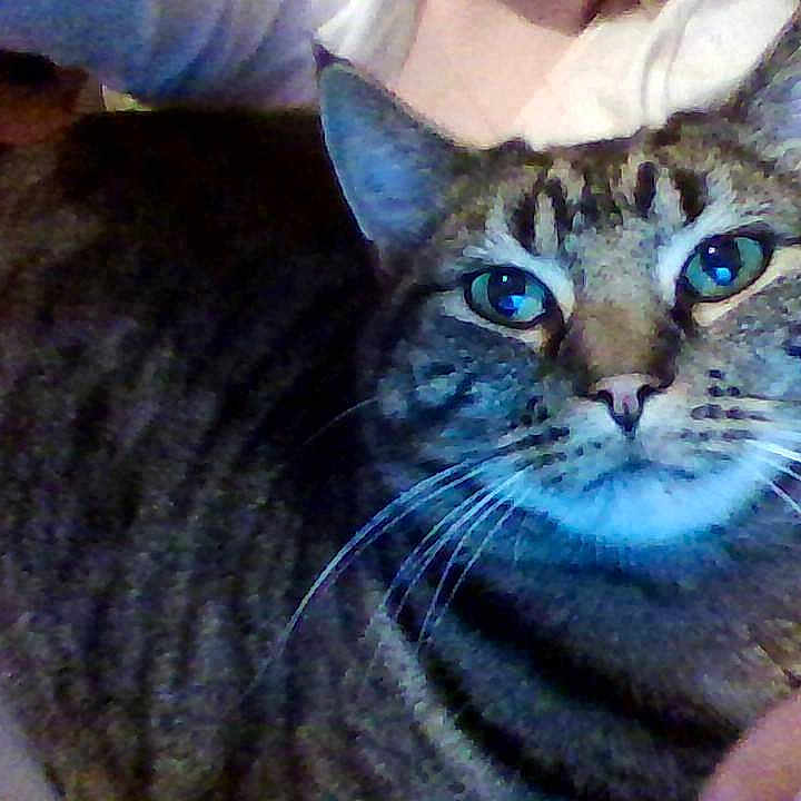 Theo