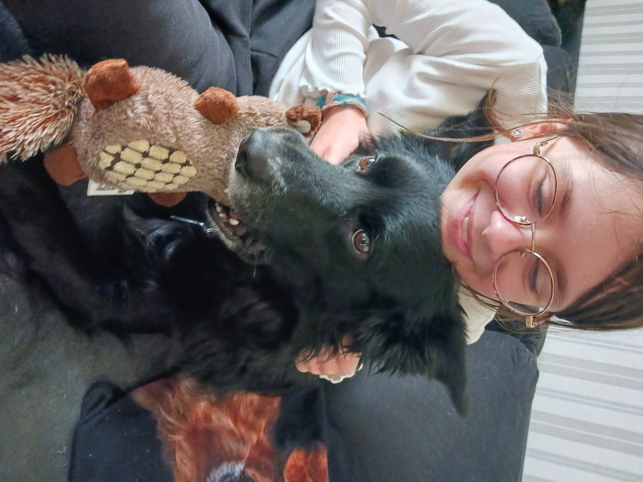 Maxou a rejoint le concours — aidez-le/la à gagner de superbes lots ! canidae, carnivore, child, companion_dog, dog_breed, ear, event, fawn, felidae, fur, happy, mammal, smile, snout, sporting_group, terrestrial_animal, toy, vertebrate, whiskers, wildlife_biologist