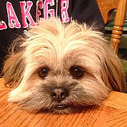 Cappy is registered to the contest to win money with this photo: