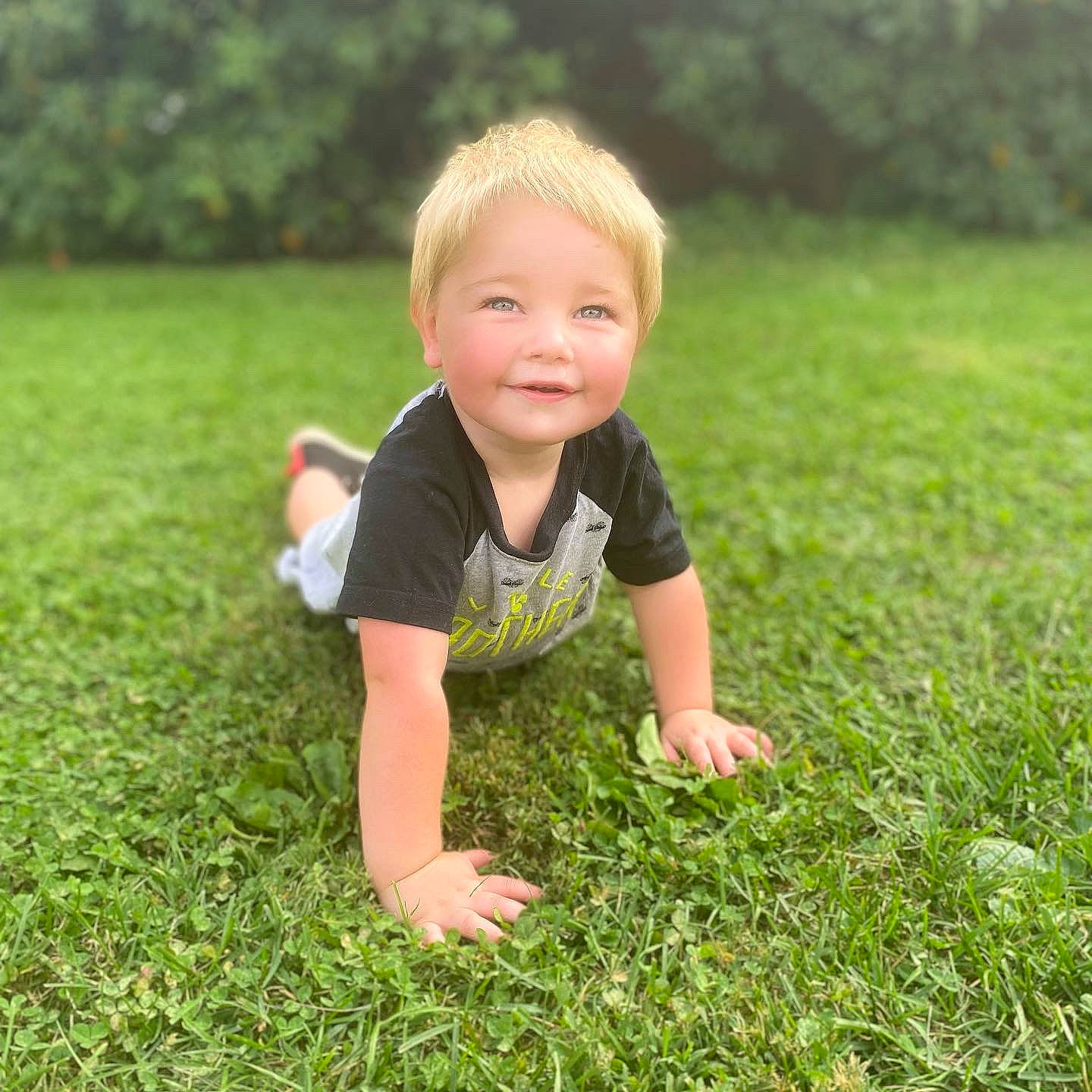 Cayde is registered to the contest to win money with this photo: baby, baby_toddler_clothing, child, crawling, flash_photography, flooring, fun, grass, grassland, green, groundcover, happy, joy, lawn, leaf, meadow, people_in_nature, person, plant, smile
