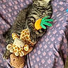 Marley participe au concours pour gagner de l'argent avec cette photo : animal, blanket, carrot_toy, cat, cozy, cuddling, feline, giraffe_toy, indoors, lying_down, patterned_fabric, pet, plush_toy, portrait, relaxing, sleeping, striped_fur, tabby_cat, vertical_photo, whiskers