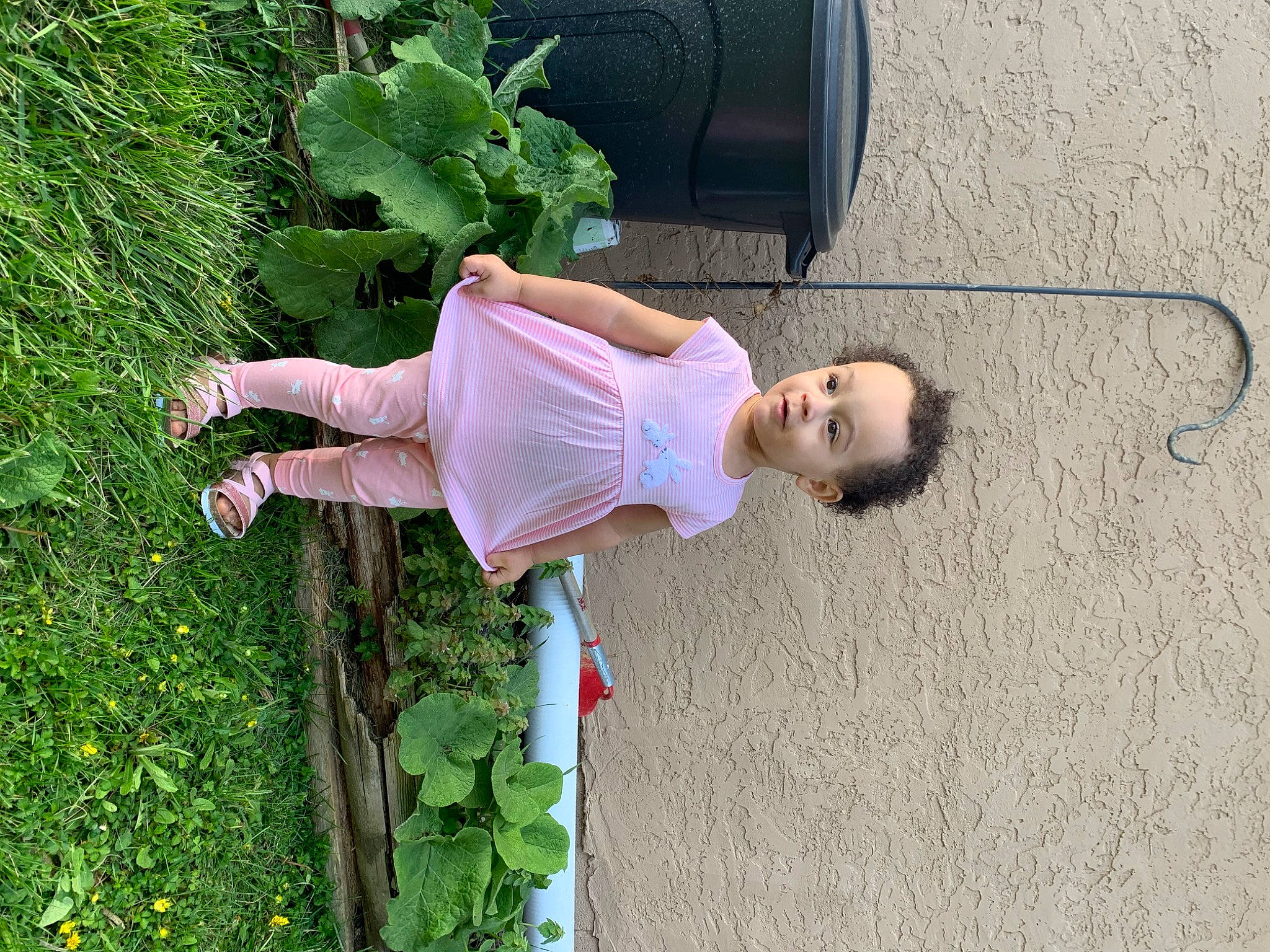 Aria joined the competition — help win amazing prizes! asphalt, auto_part, automotive_tire, child, concrete, dress, flower, fun, grass, leisure, motor_vehicle, people_in_nature, person, plant, road_surface, shrub, street_fashion, t_shirt, tire, toddler