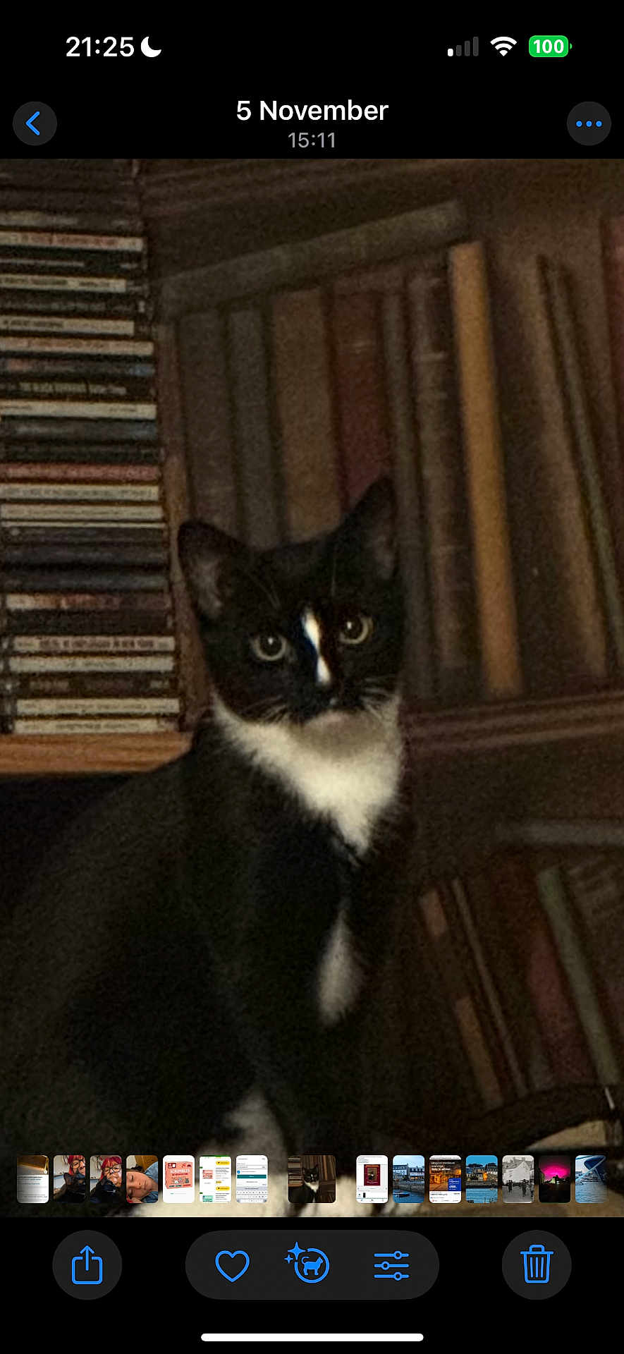 Myrtille is registered to the contest to win money with this photo: cat, black_and_white, bookcase, books, cds, indoor, pet, animal, feline, sitting, looking, dim_light, furniture, shelf, curious, domestic, whiskers, ears, eyes, portrait