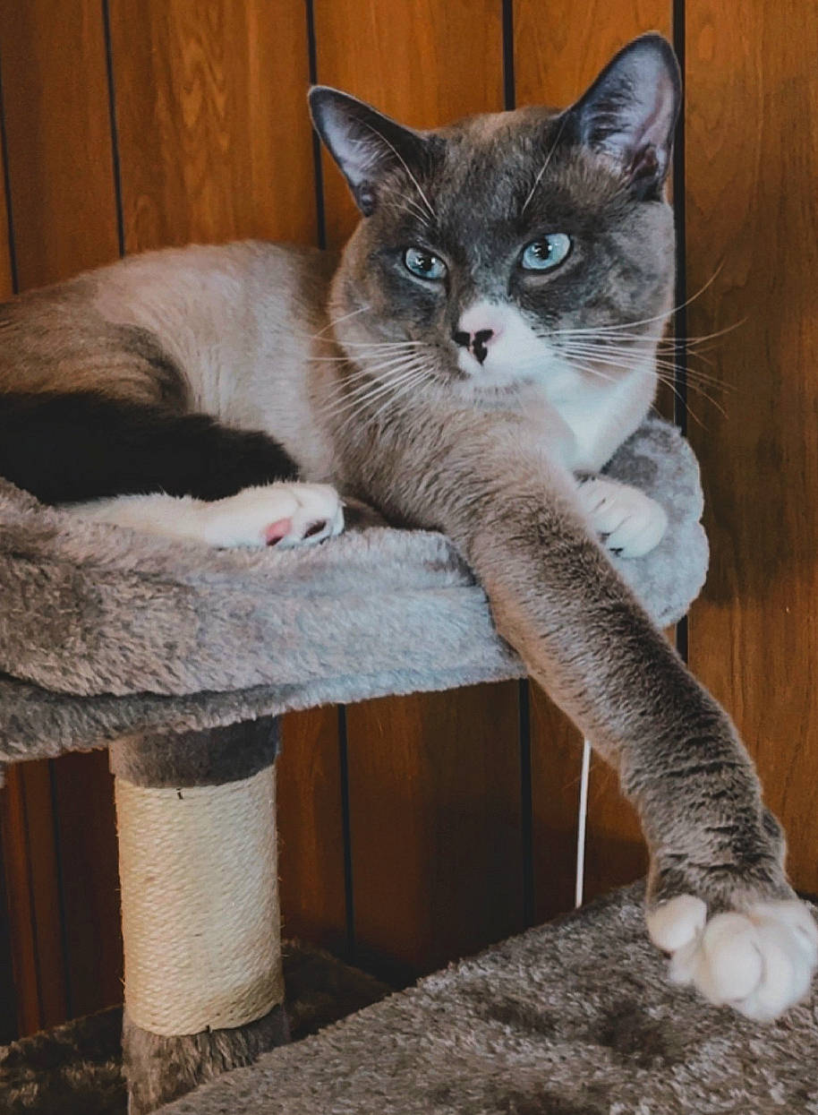 Max