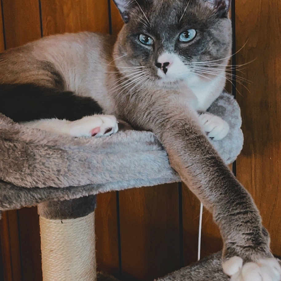 Max