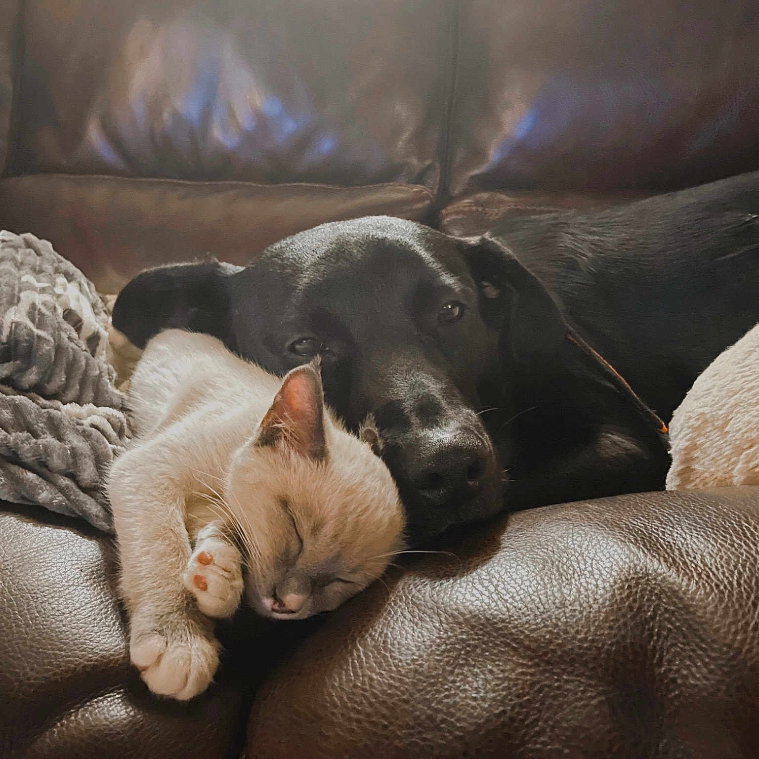 Bowden And Max