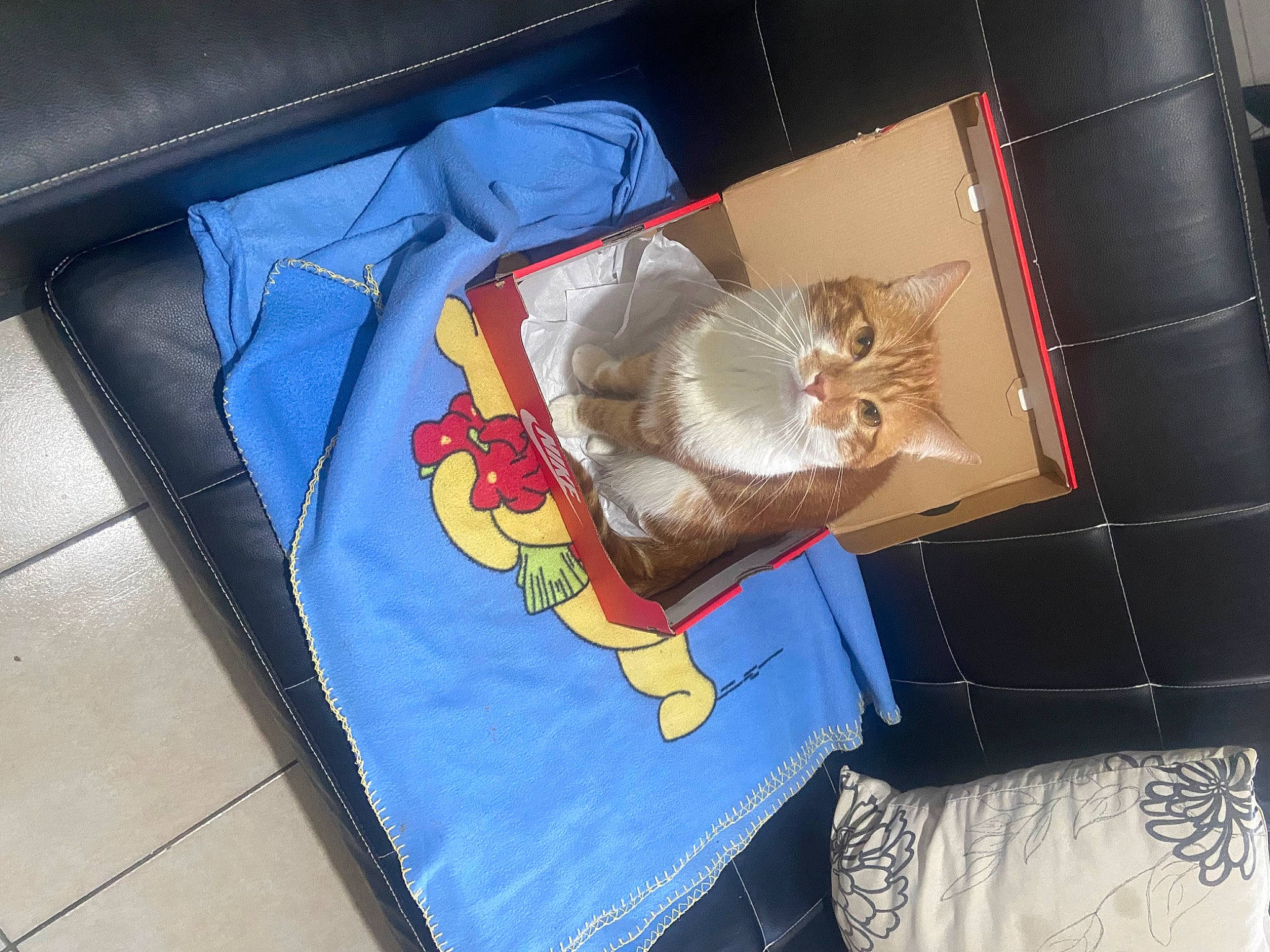 Maou participe au concours pour gagner de l'argent avec cette photo : art, bag, box, carmine, comfort_food, electric_blue, fashion_accessory, linens, packing_materials, paper, paper_product, pattern, plastic_bag, room, shipping_box, stuffed_toy, textile, toy, wood