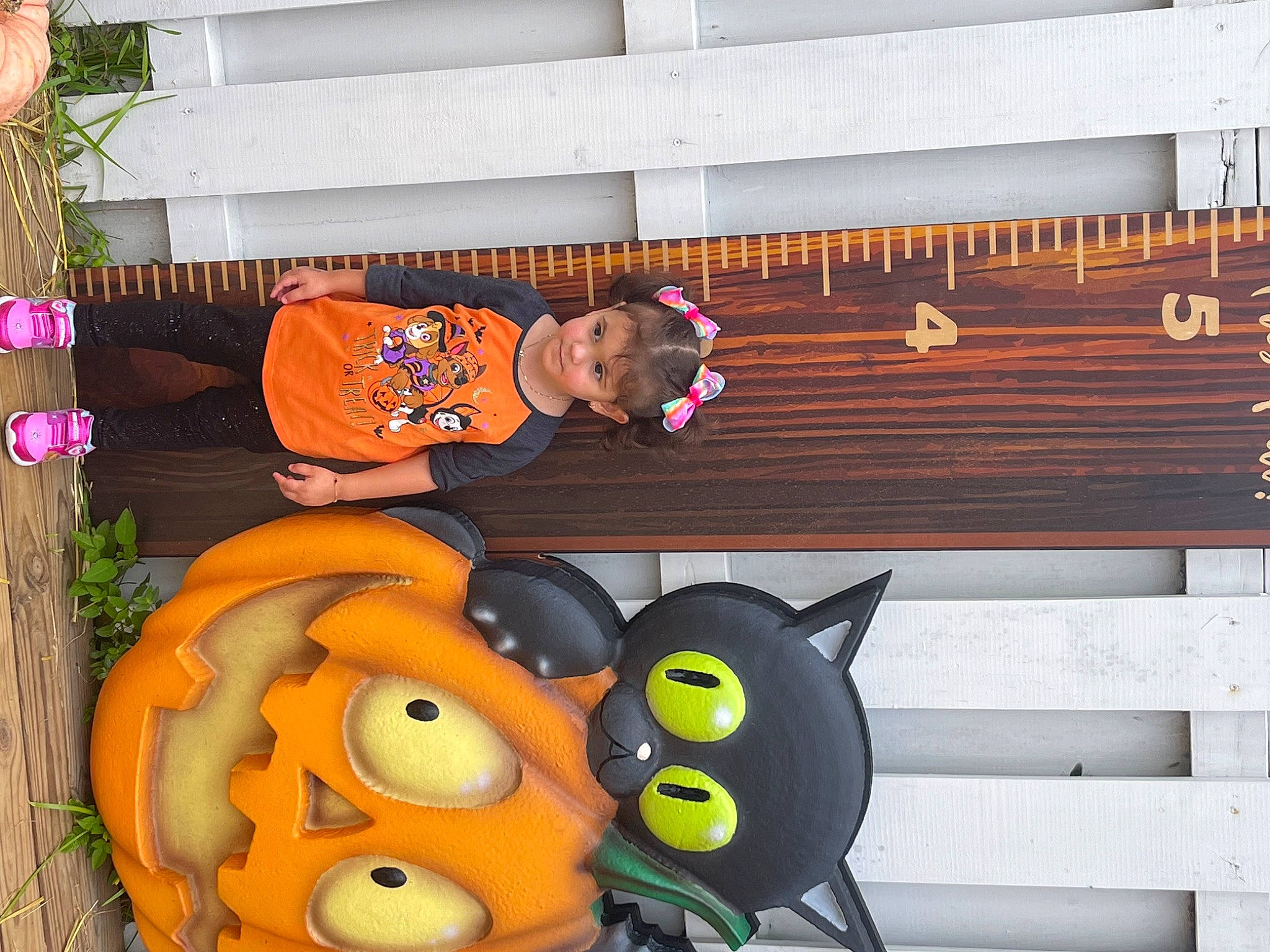 Khloe is registered to the contest to win money with this photo: animated_cartoon, animation, art, calabaza, fictional_character, fun, gourd, happy, hardwood, hat, lawn_ornament, mascot, orange, person, plant, room, snapshot, stuffed_toy, toy, winter_squash