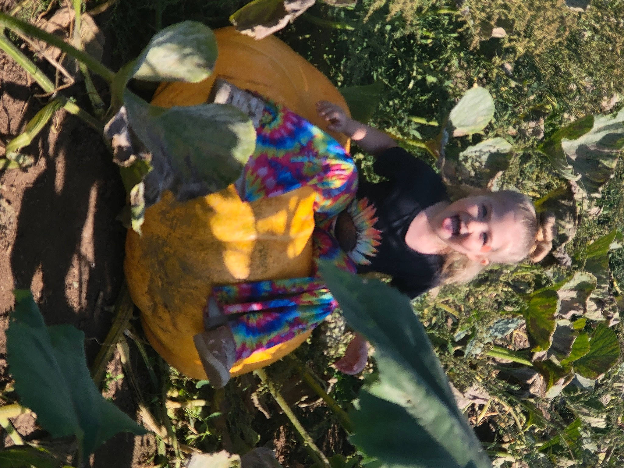 Aaliyah is registered to the contest to win money with this photo: adaptation, adventure, child, fun, grass, leisure, organism, people_in_nature, person, plant, recreation, soil, toddler, tree, wilderness, wood