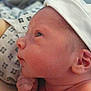 George is registered to the contest to win money with this photo: baby, child, closeup, curious, cute, expression, fabric, face, hand, hat, indoors, infant, newborn, pattern, person, profile, resting, skin, soft, young