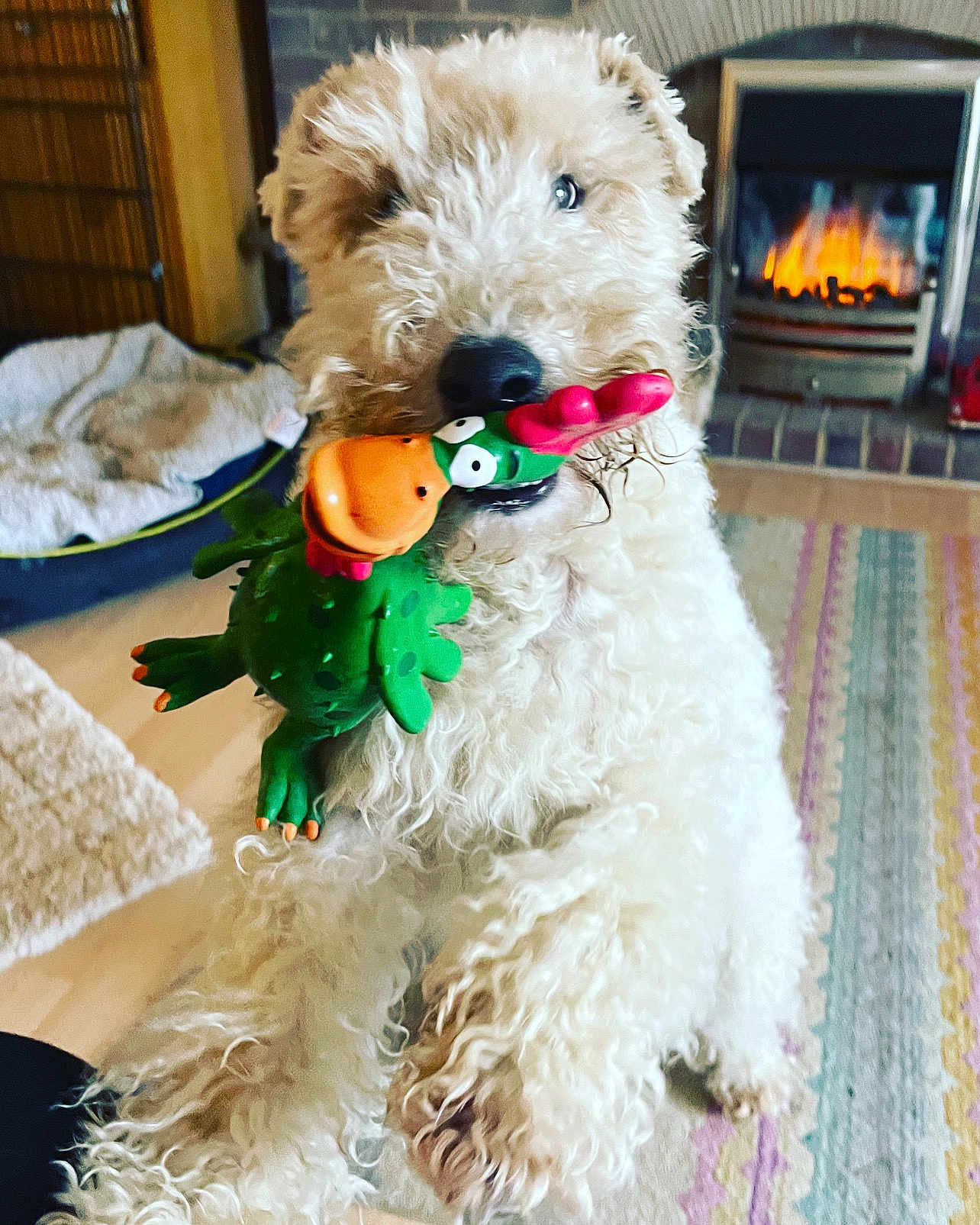 Hugo