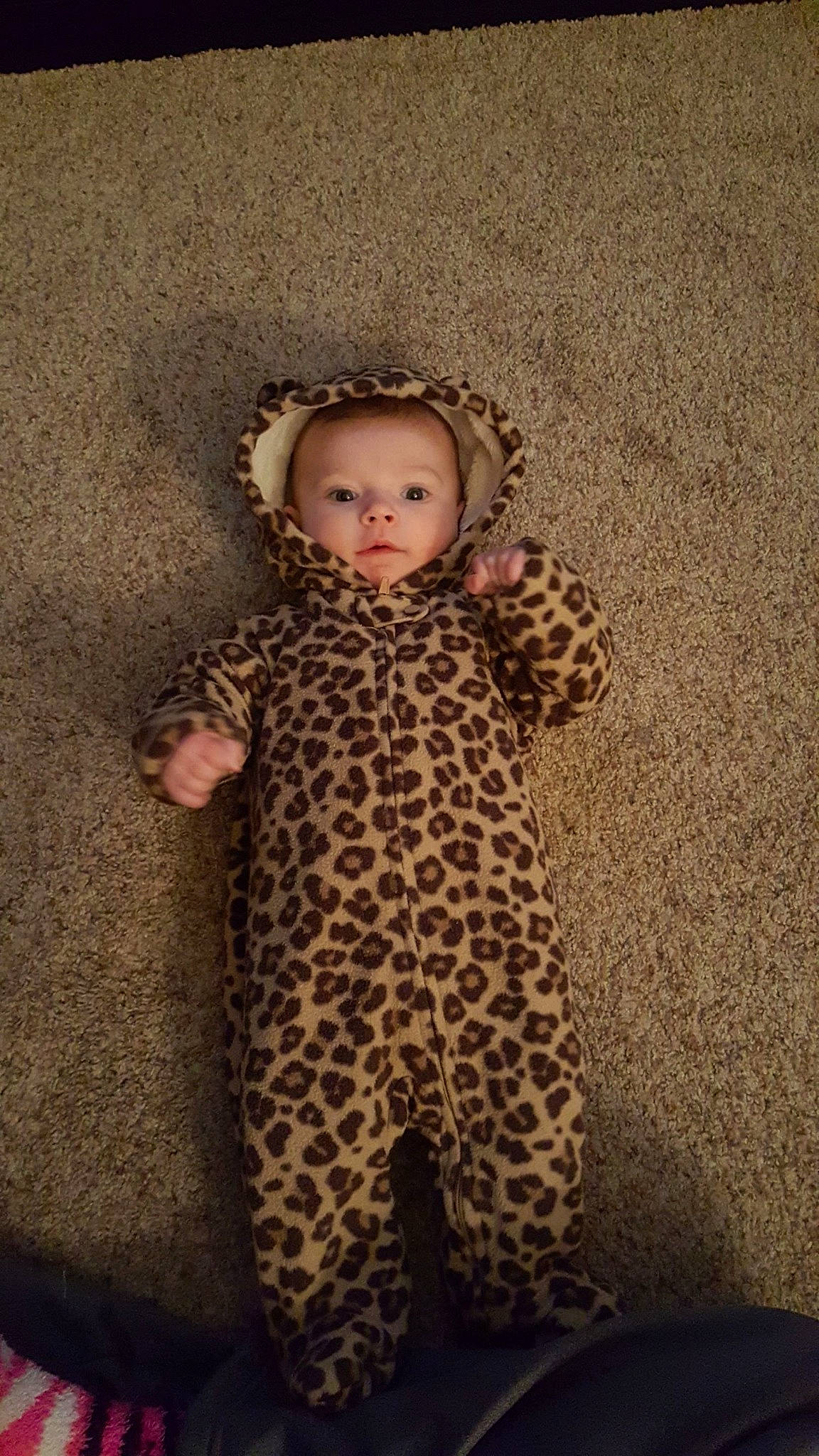 Kiara is registered to the contest to win money with this photo: baby, baby_toddler_clothing, child, fawn, head, outerwear, pattern, person, toddler