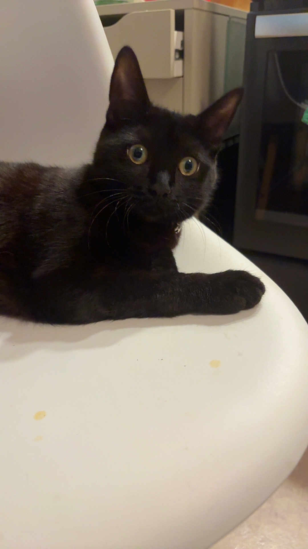 Athena