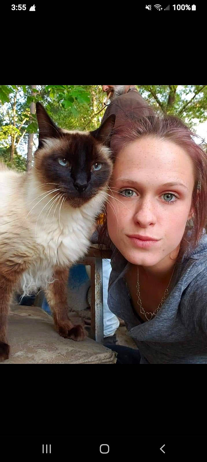 Jose joined the competition — help win amazing prizes! birman, carnivore, cat, eye, eyelash, fawn, felidae, flash_photography, fur, grass, happy, head, iris, plant, ragdoll, siamese, small_to_medium_sized_cats, snout, tree, whiskers