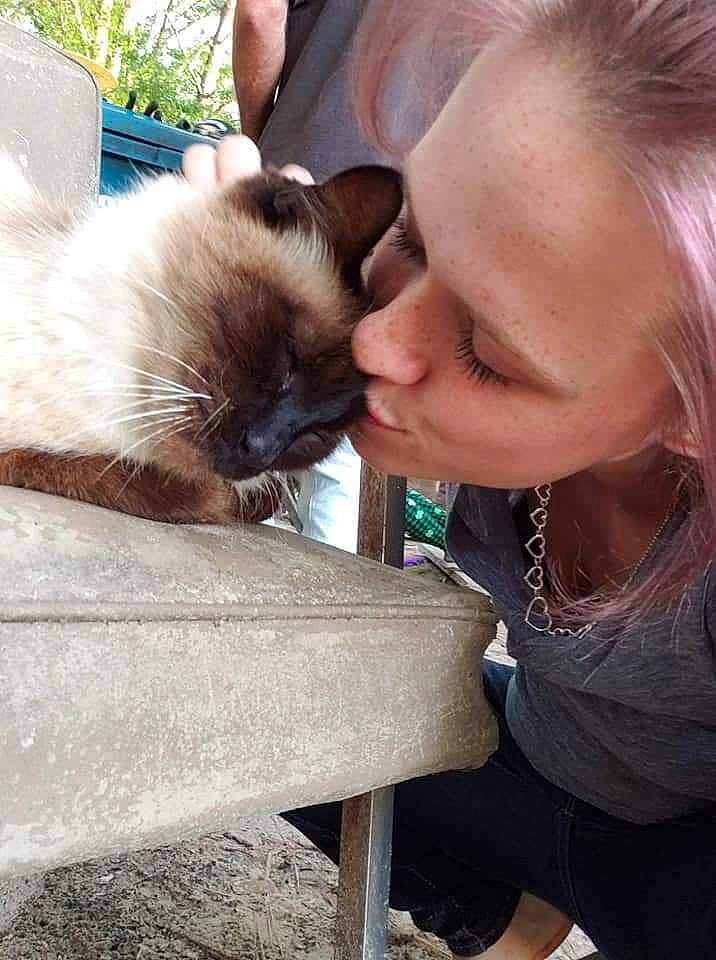 Jose is registered to the contest to win money with this photo: balinese, birman, carnivore, cat, eyelash, eyewear, fawn, felidae, fur, ragdoll, siamese, sitting, skin, small_to_medium_sized_cats, snout, summer, thai, tonkinese, whiskers, wildlife