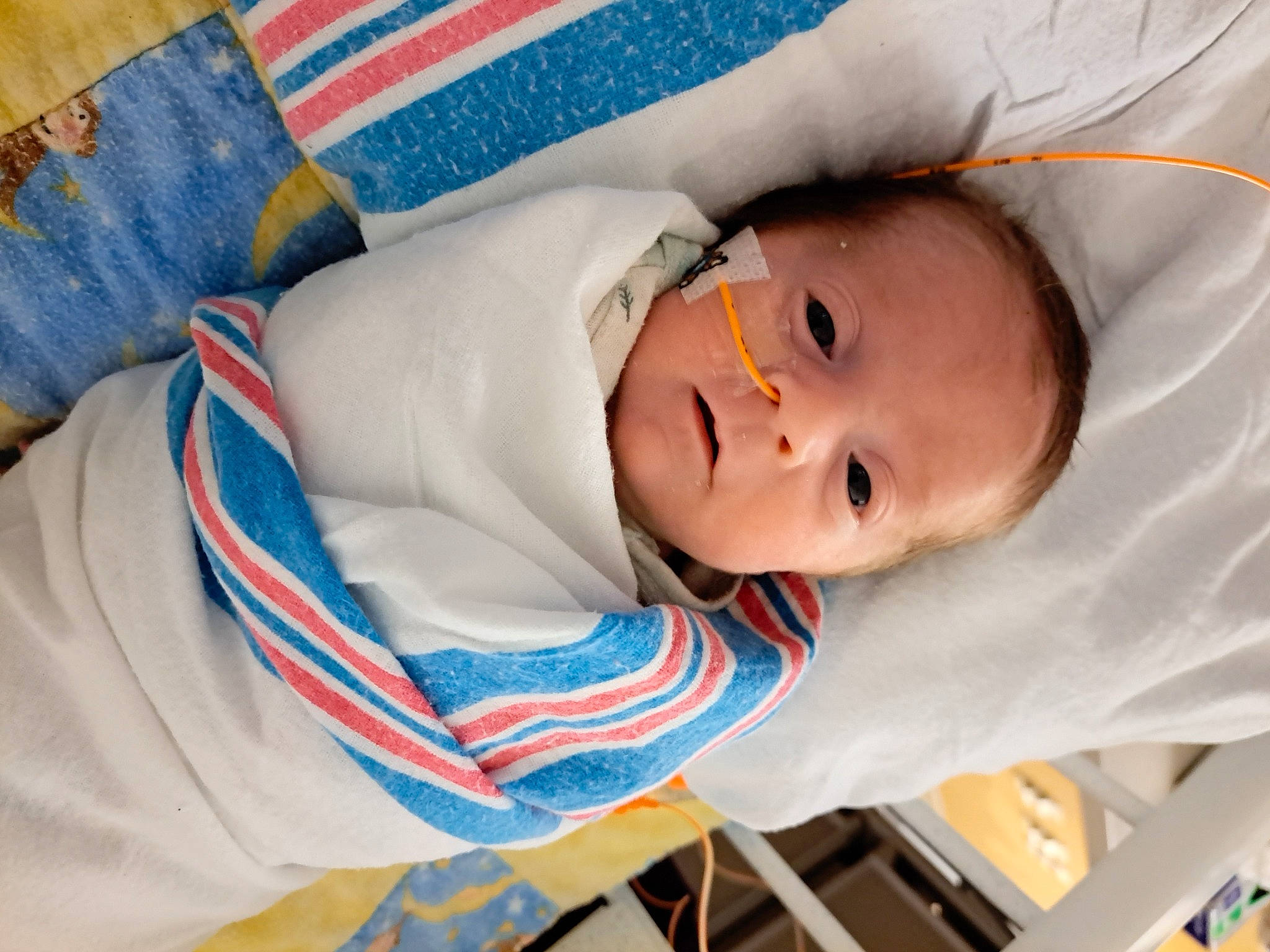 Kobe joined the competition — help win amazing prizes! baby, baby_products, baby_safety, baby_toddler_clothing, child, comfort, electric_blue, face, linens, nap, pattern, person, plaid, room, sleep, sleeve, textile, toddler