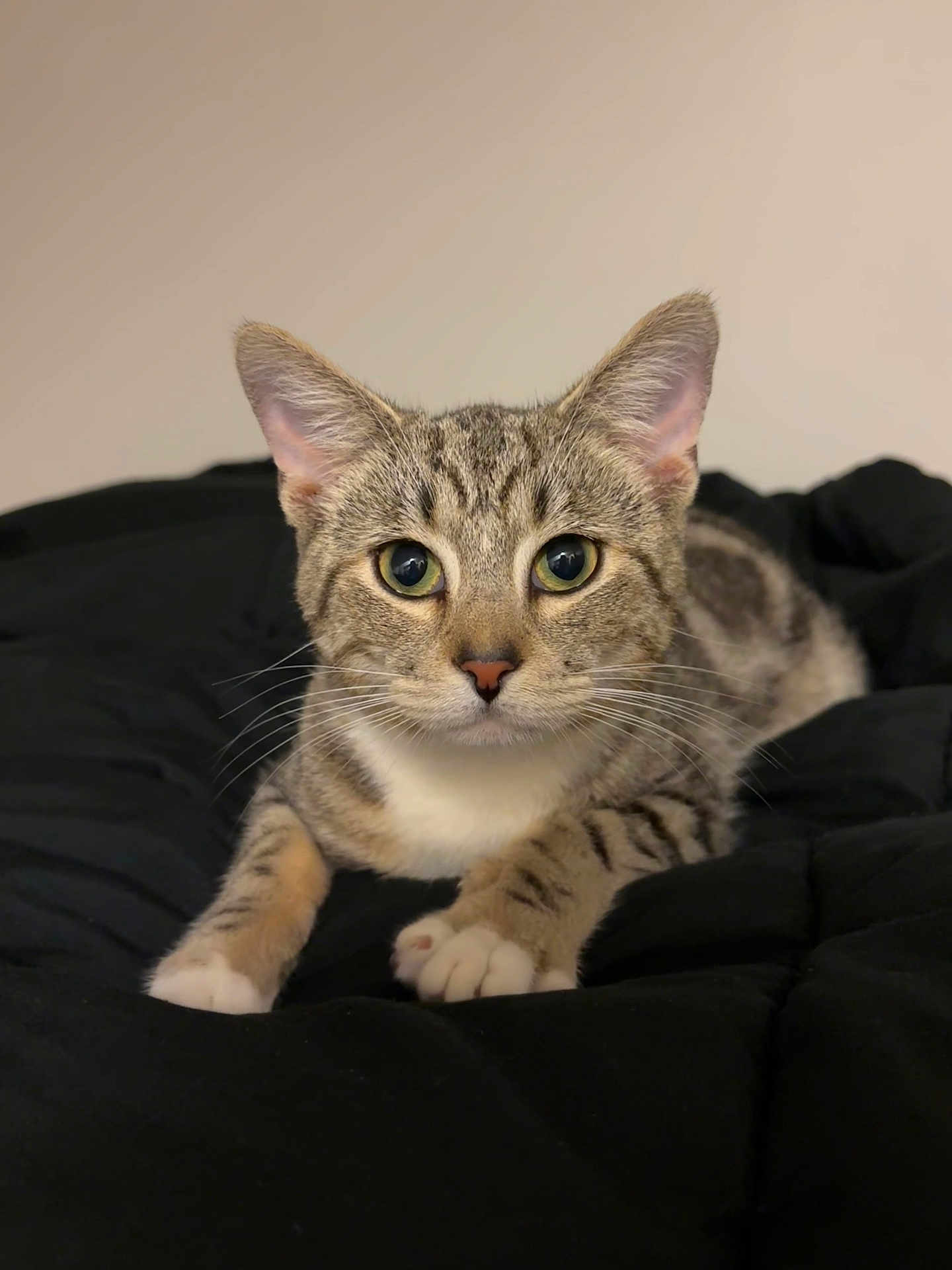 Pete