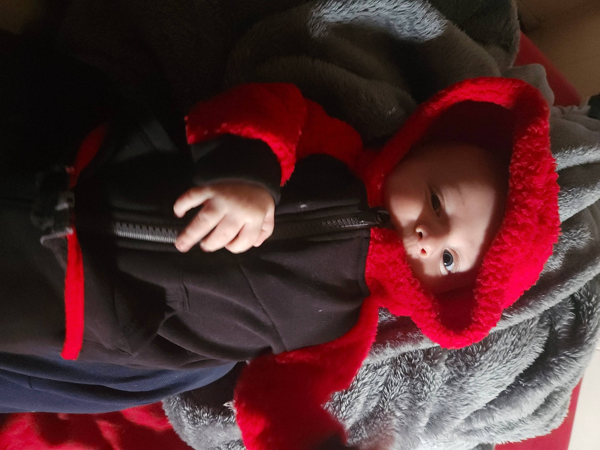 Denis joined the competition — help win amazing prizes! baby, baby_carriage, baby_products, carmine, child, comfort, event, freezing, fun, fur, magenta, person, plant, sitting, toddler, tradition, tree, winter