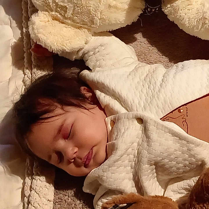 Zola a rejoint le concours — aidez-le/la à gagner de superbes lots ! baby, bed, blanket, child, comfort, cozy, cuddle, cute, indoors, infant, nap_time, peaceful, plush, resting, sleeping, soft_lighting, stuffed_animal, teddy_bear, toy, warm